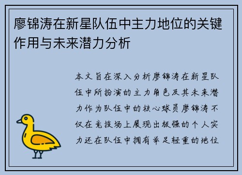 廖锦涛在新星队伍中主力地位的关键作用与未来潜力分析