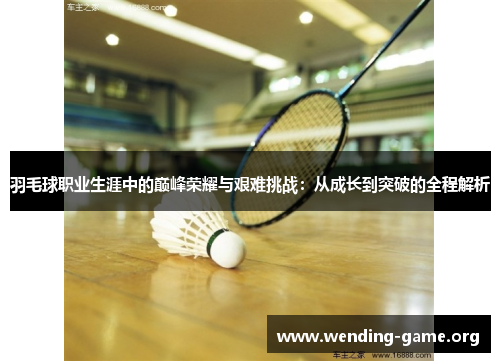 羽毛球职业生涯中的巅峰荣耀与艰难挑战：从成长到突破的全程解析