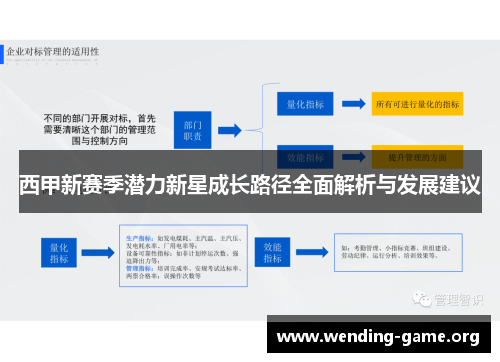 西甲新赛季潜力新星成长路径全面解析与发展建议