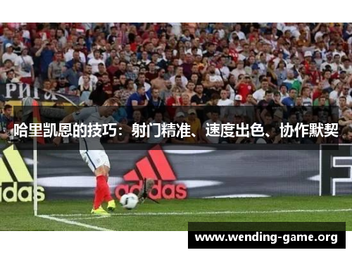 哈里凯恩的技巧：射门精准、速度出色、协作默契