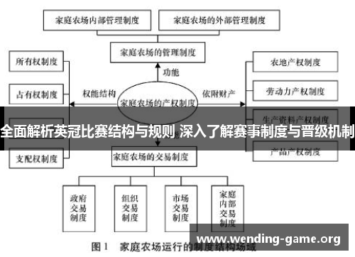 全面解析英冠比赛结构与规则 深入了解赛事制度与晋级机制
