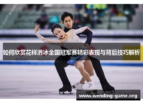 如何欣赏花样滑冰全国冠军赛精彩表现与背后技巧解析