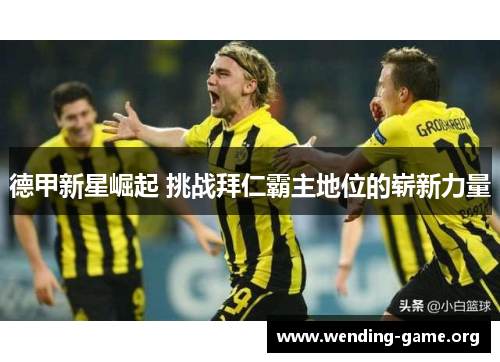 德甲新星崛起 挑战拜仁霸主地位的崭新力量