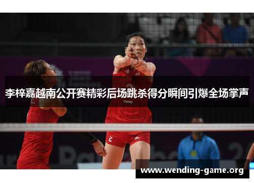 李梓嘉越南公开赛精彩后场跳杀得分瞬间引爆全场掌声